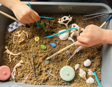 Dig Kit Mini (Class Set) for Primary Schools- Pre-Order Now