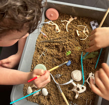 Dig Kit Mini (Class Set) for Primary Schools- Pre-Order Now