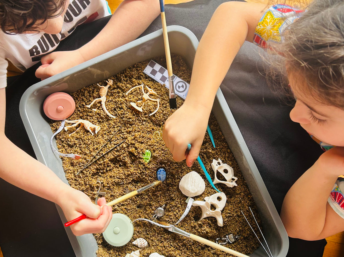 Dig Kit Mini (Class Set) for Primary School – Aphrodite Publications
