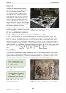 Pompeii and Herculaneum: Student Workbook (2021 third edition)